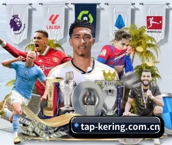 tap-kering.com.cn APP(kaiyun app)